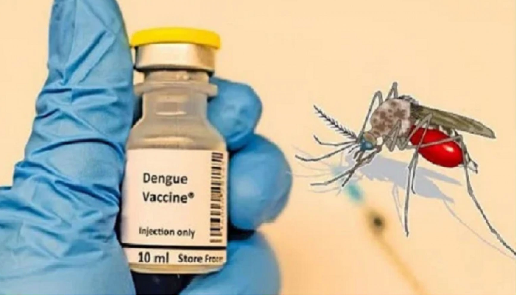 ডেঙ্গুর টিকার গবেষণা 'সফল'