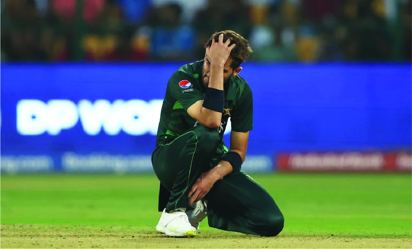 দুই জয়ে বিশ্বকাপ শুরু