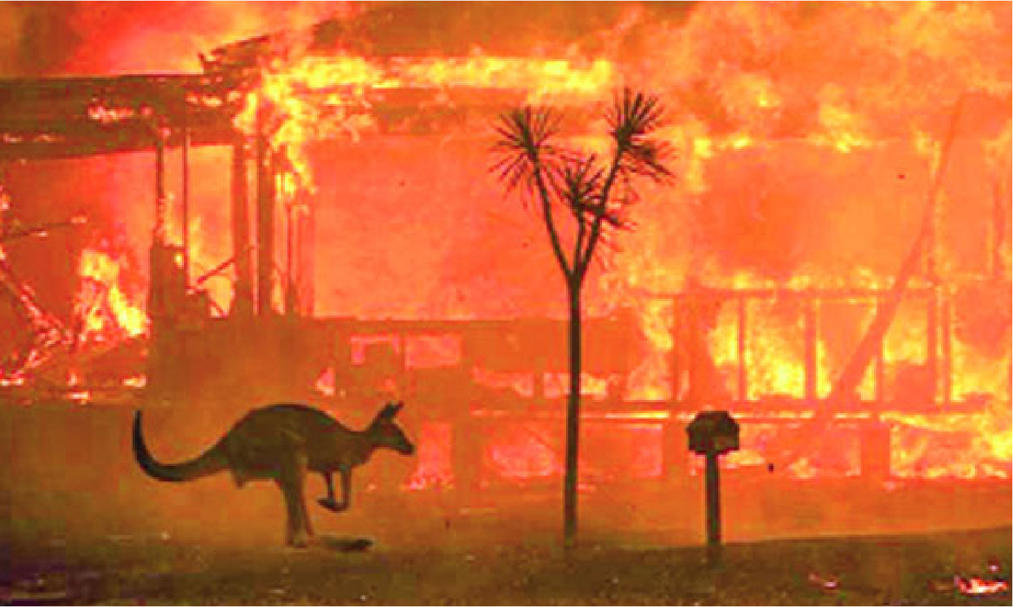 প্রায় ৭০টি দাবানল