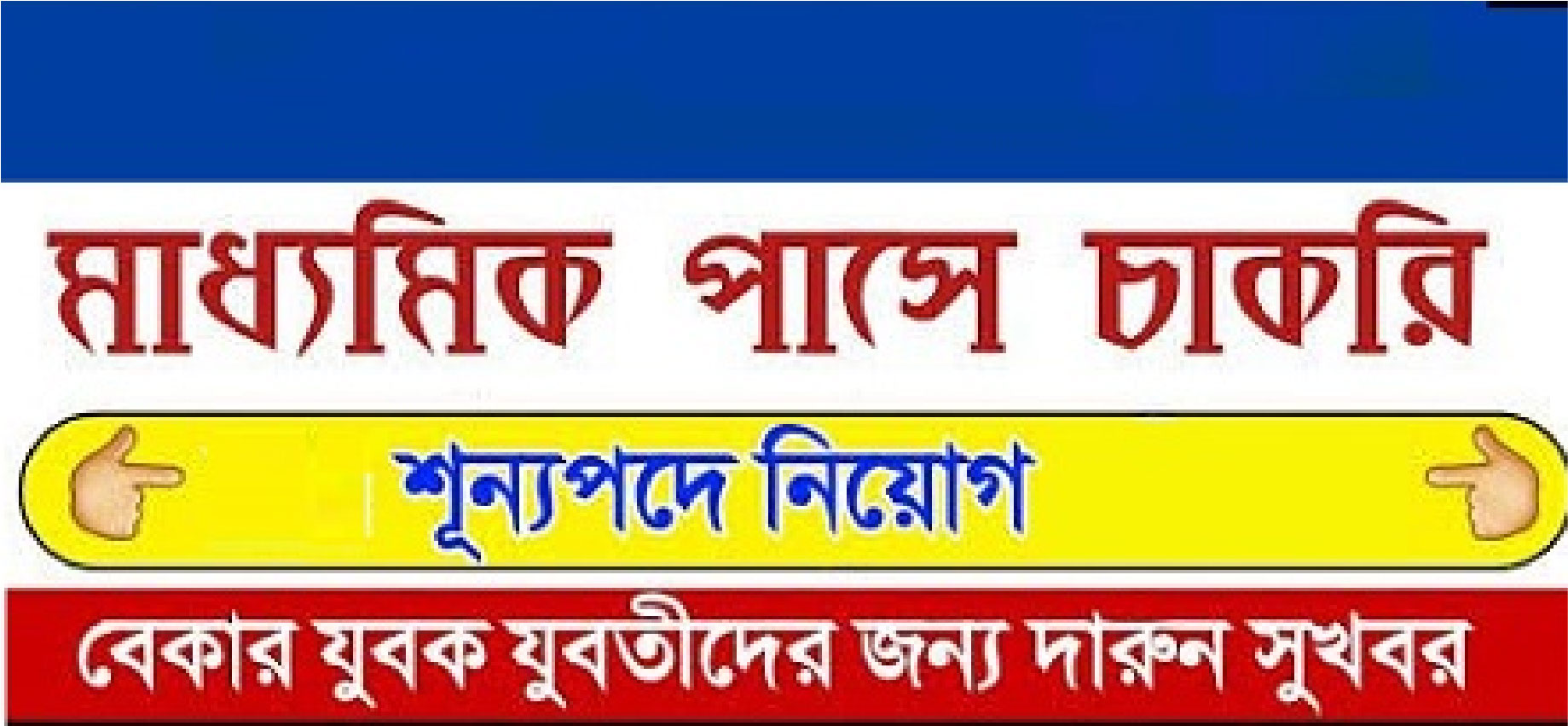 মীনা বাজার নিয়োগ