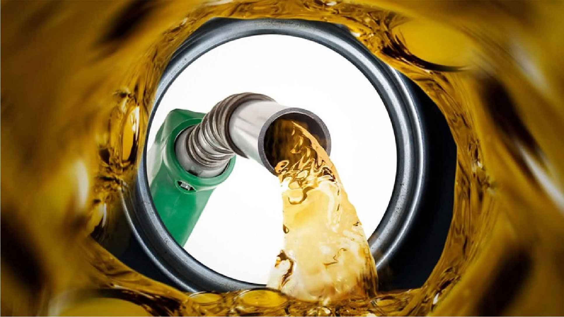 ৬ শতাংশ বৃদ্ধি পেয়েছে