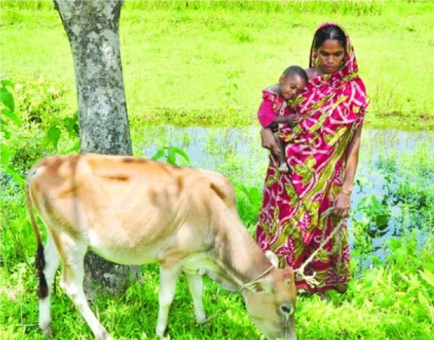 একজন কৃষি উদ্যোক্তা