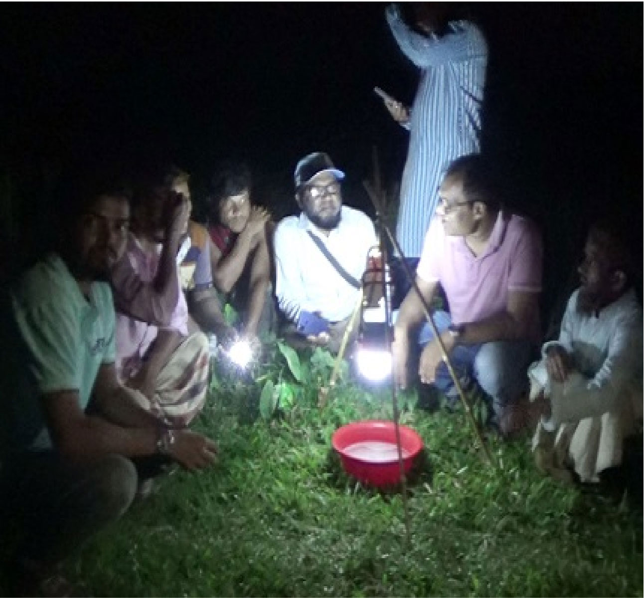 ক্ষতিকারক পোকামাকড়