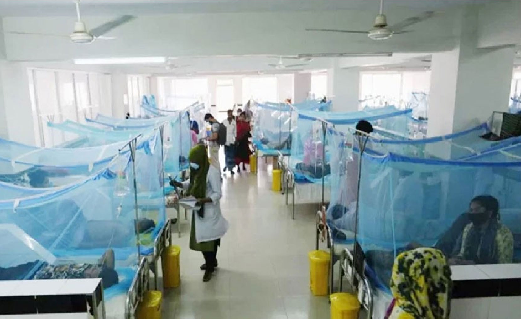 ১০ জনের মৃত্যু হয়েছে