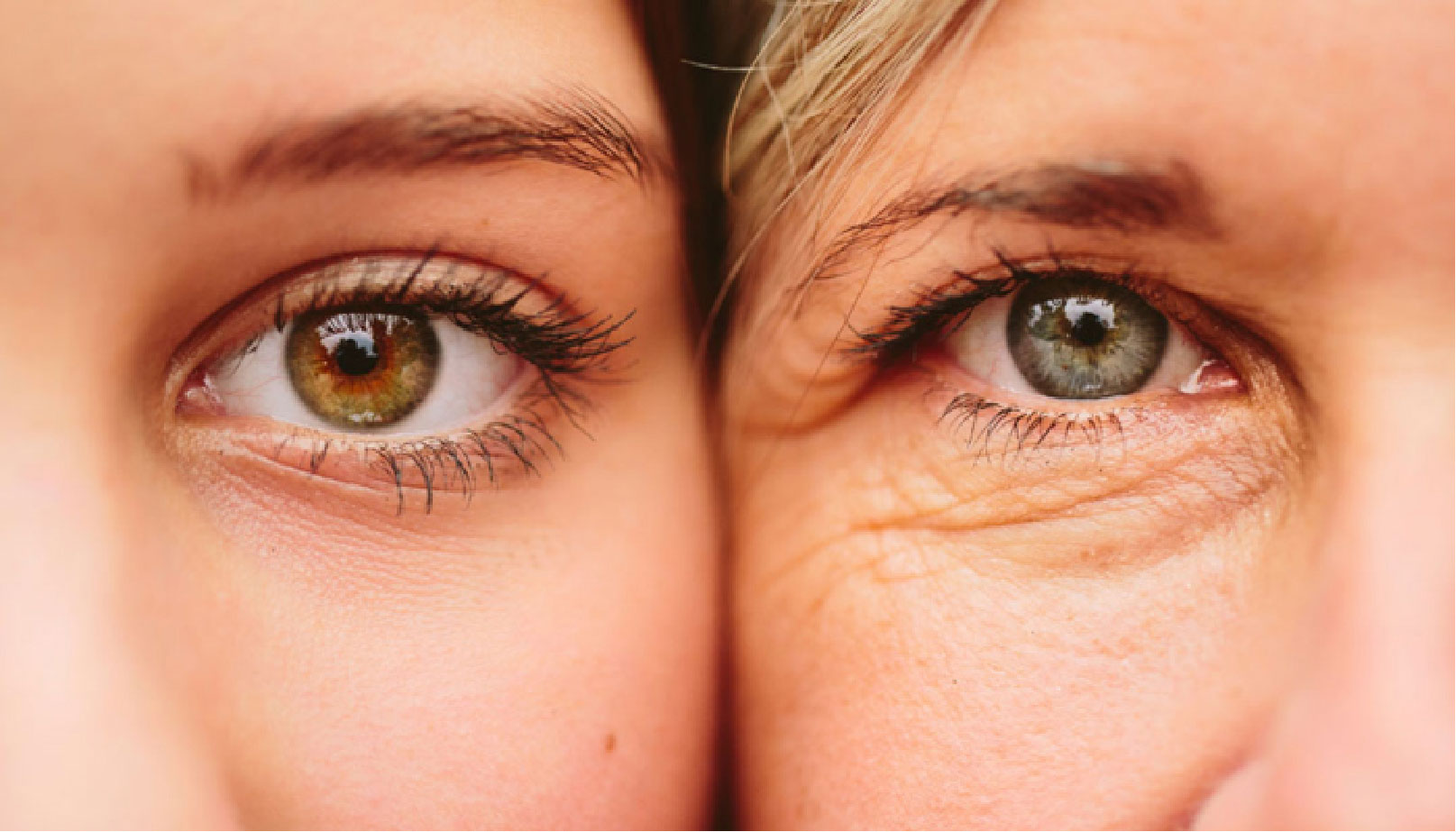 ফলে হৃদযন্ত্র ভালো থাকে