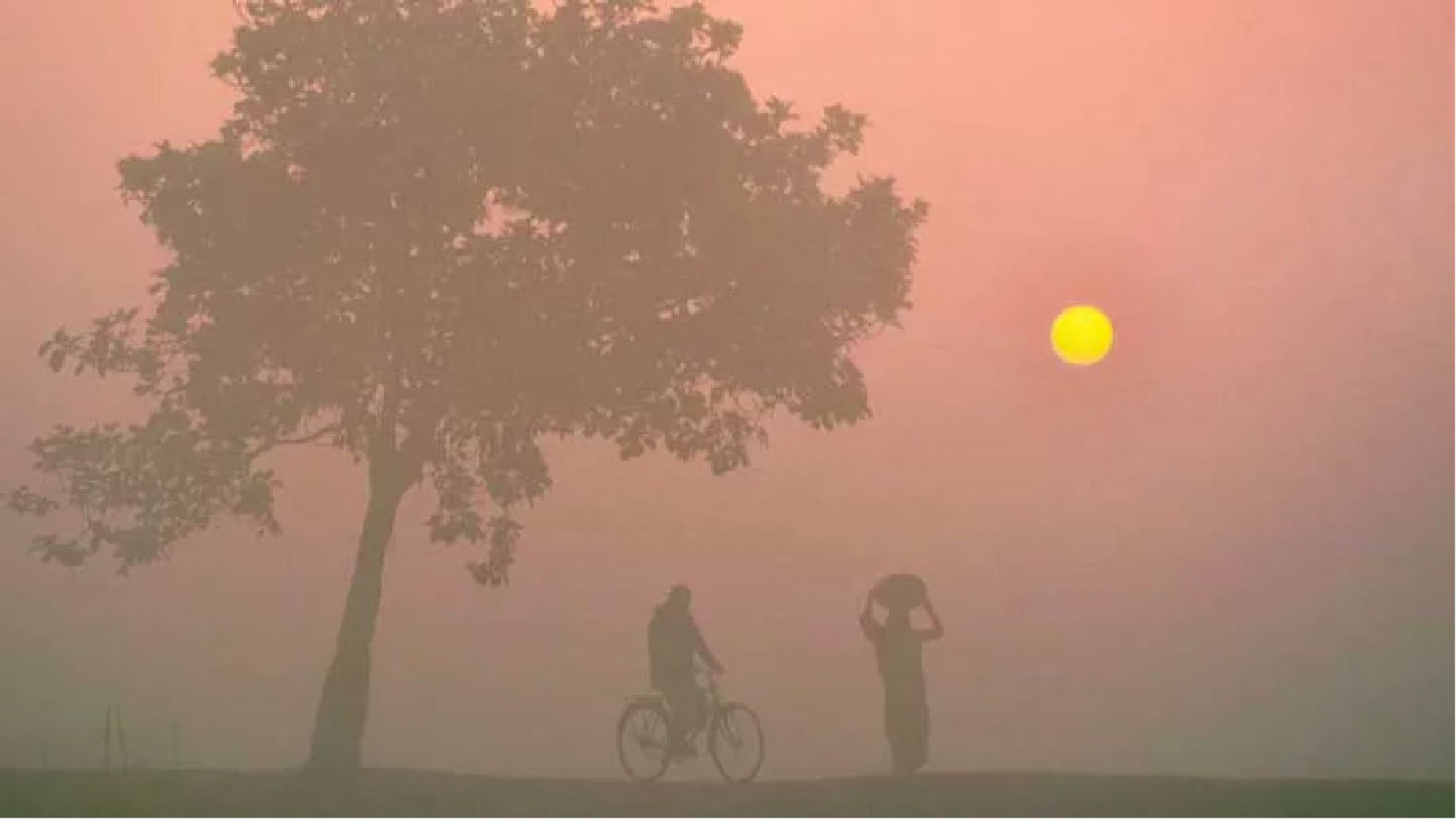 দেশের প্রায় প্রতিটি গ্রামীণ