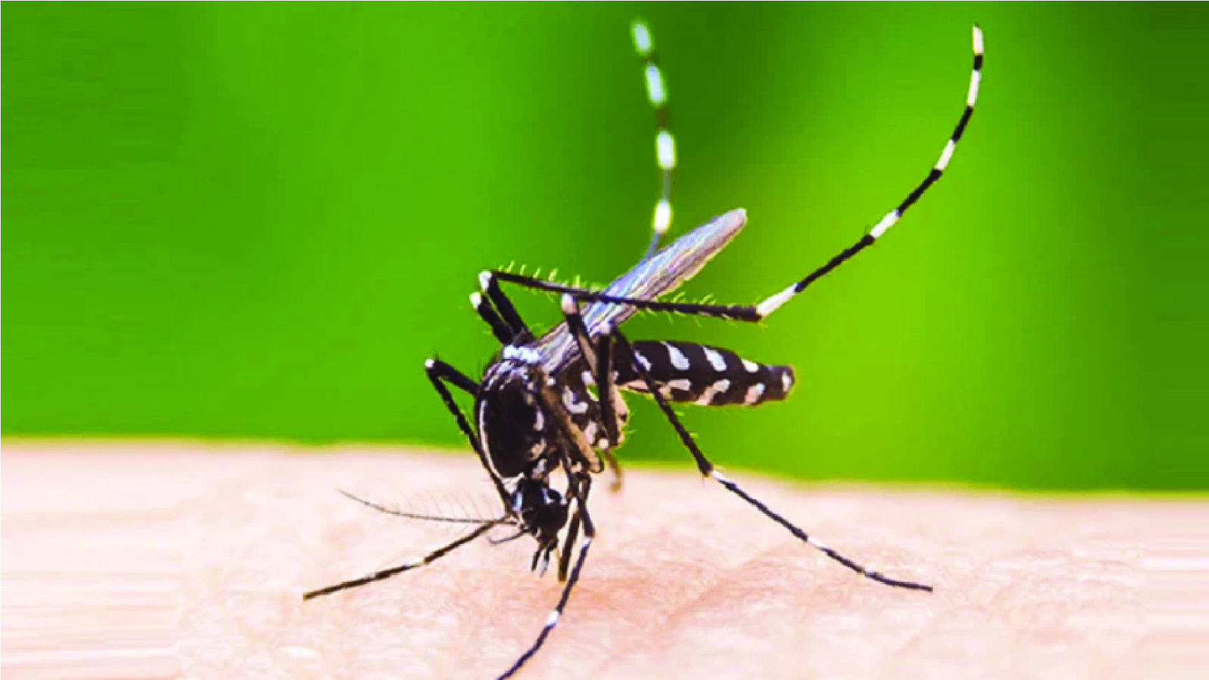 ২৪ জনের মৃত্যু হয়েছে