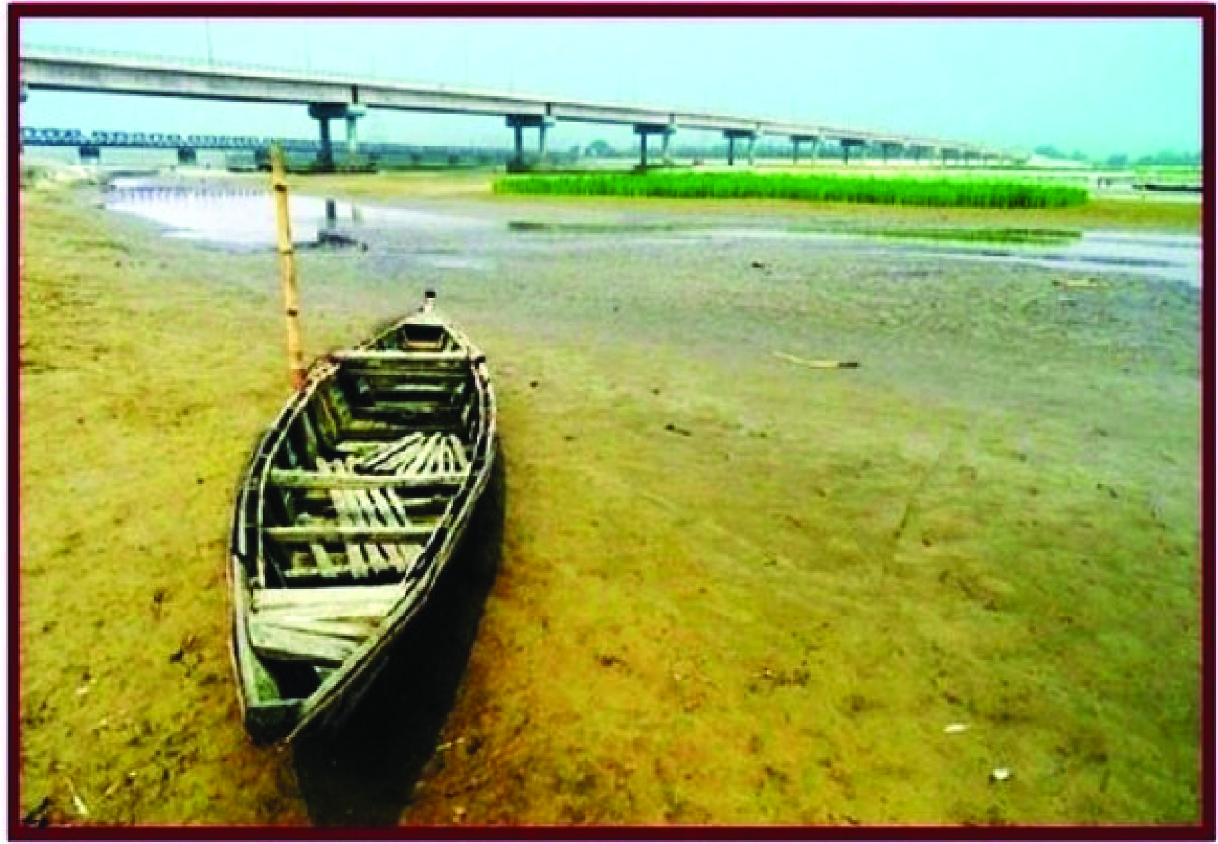 ওয়ানডে বিশ্বকাপের ফাইনালে