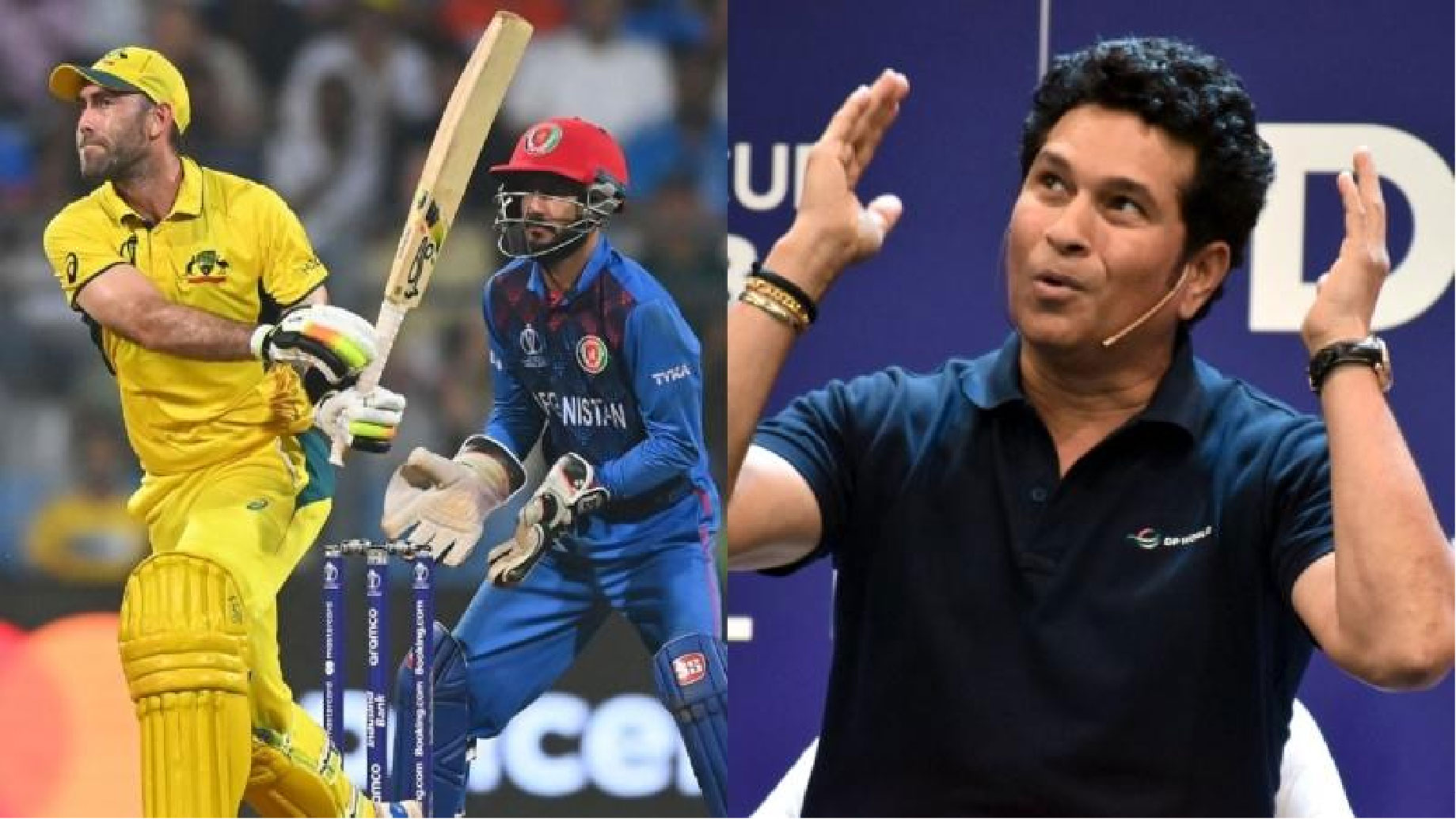 বিশ্বকাপে আফগানিস্তানের বিপক্ষে