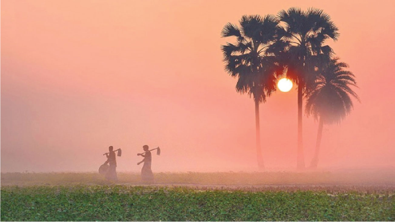 প্রকৃতিতে জেঁকে বসছে শীত