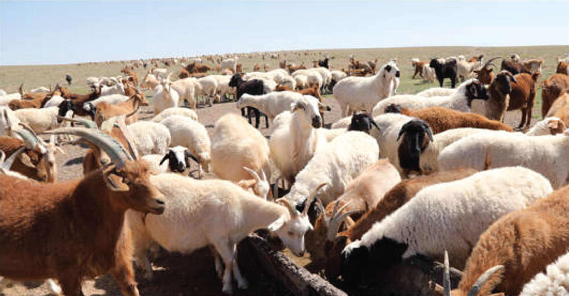 নবী রাসূলগণ জীবিকা নির্বাহের