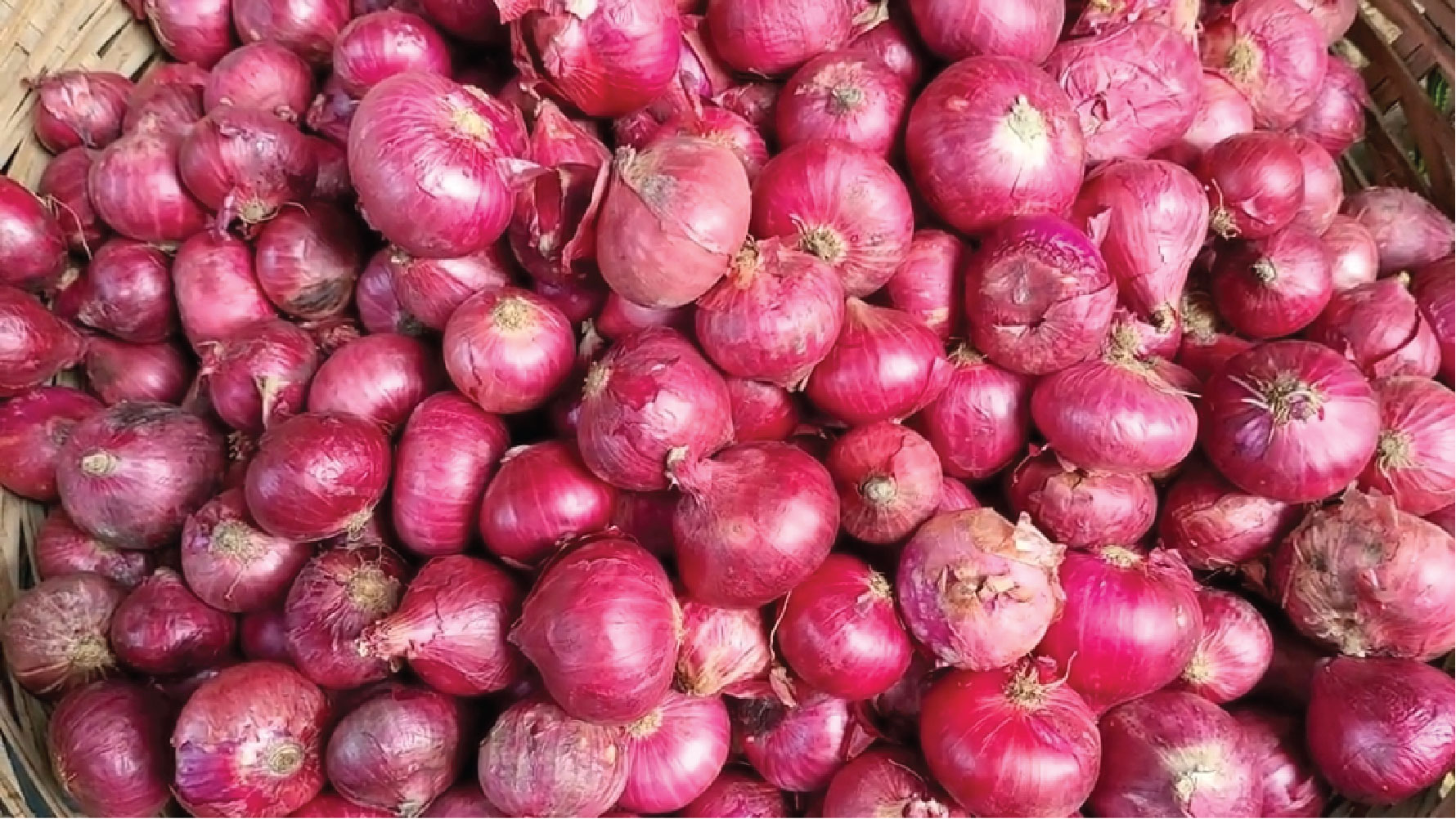 অস্থির পেঁয়াজের বাজার