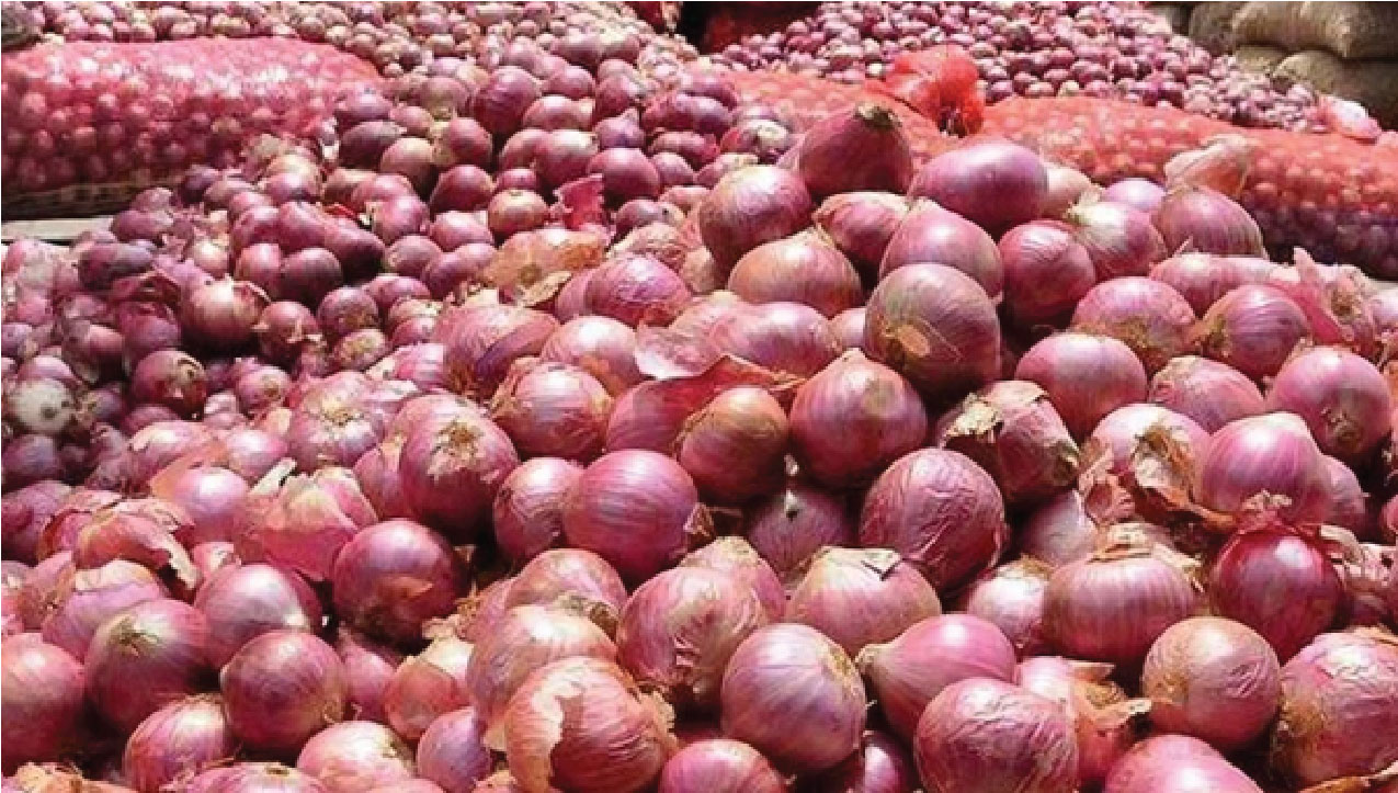 ভারতের পেঁয়াজ রপ্তানি