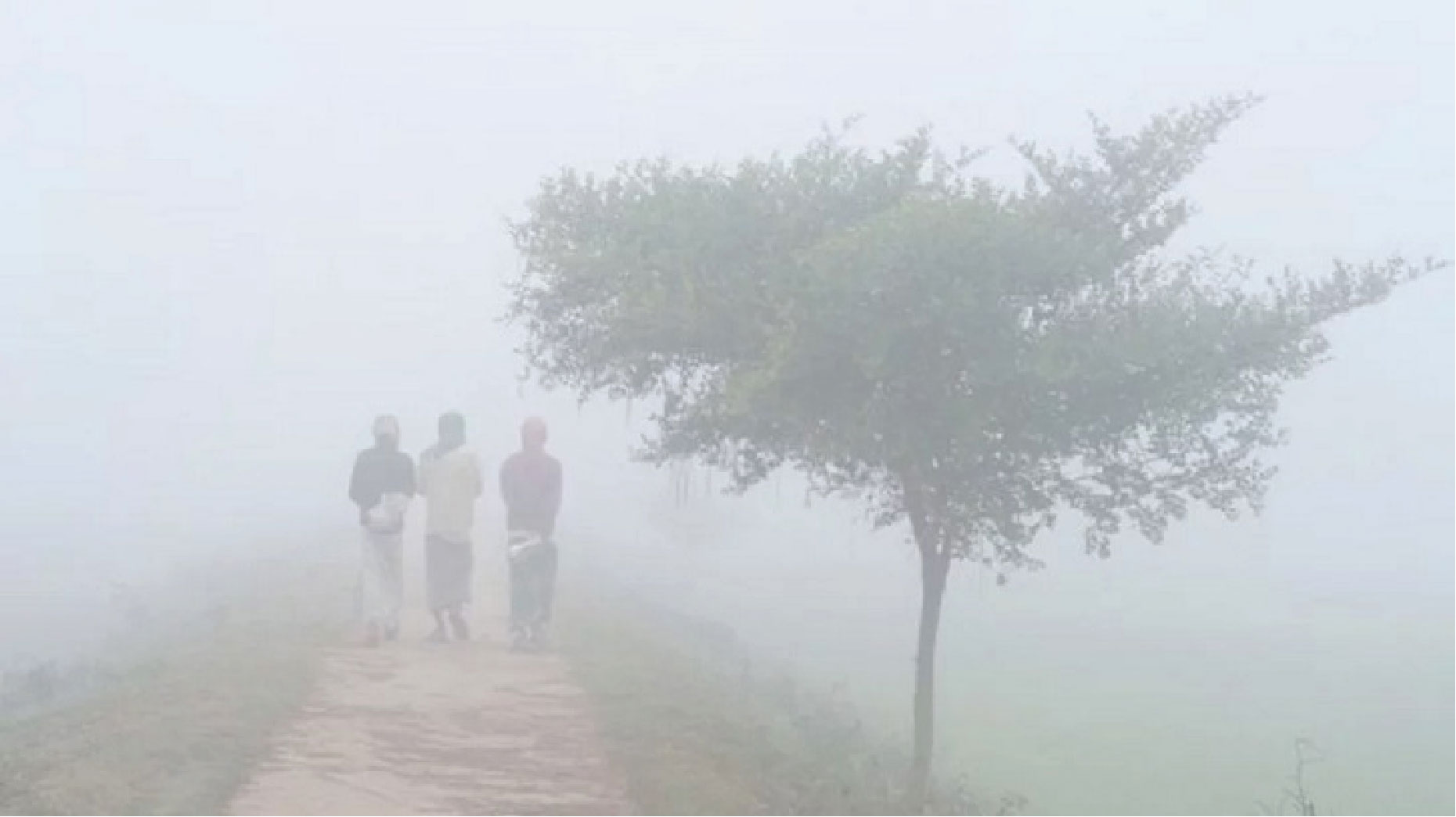 কুয়াশার দাপটে জনজীবন