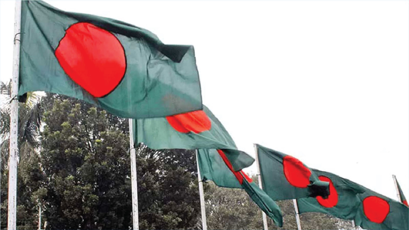 মহান বিজয় দিবস উদযাপন