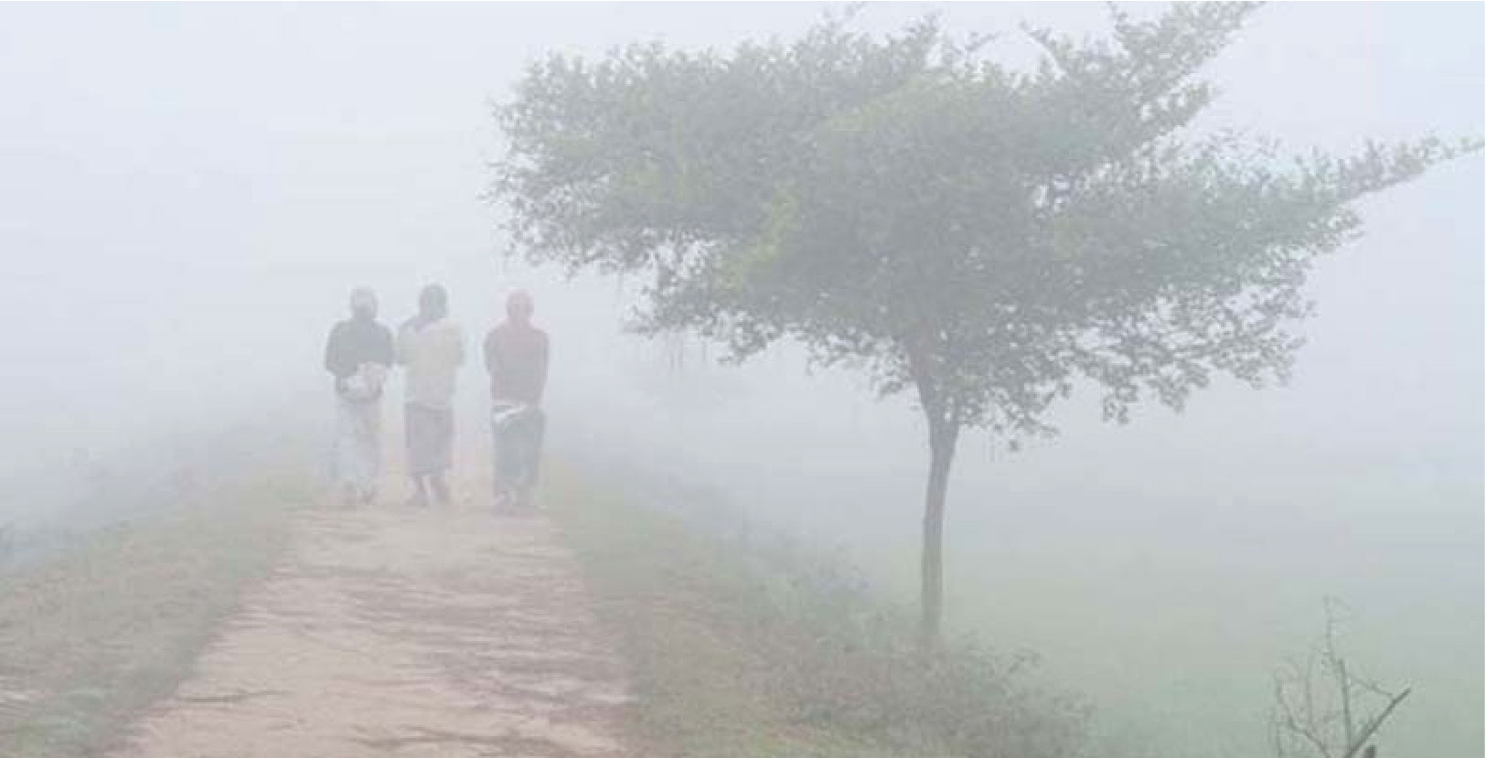 বেড়েছে পঞ্চগড়ের তাপমাত্রা