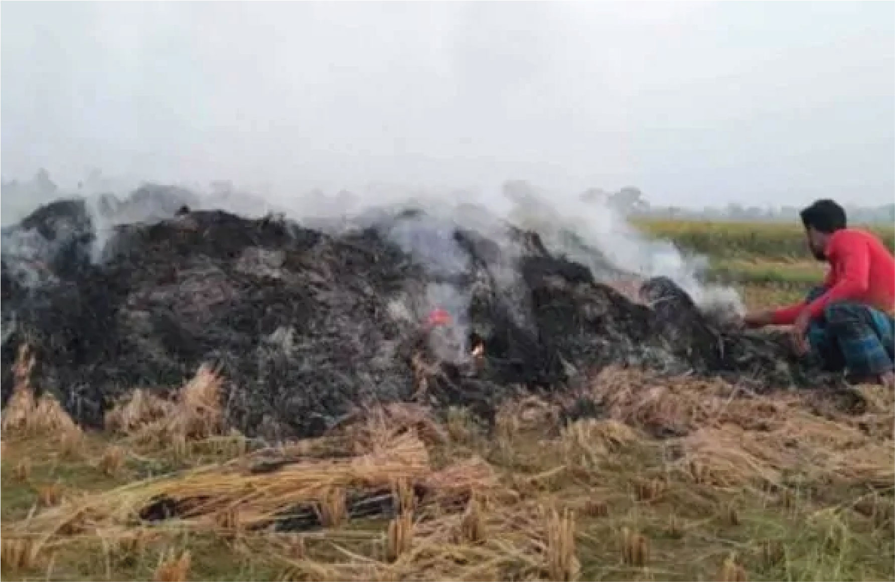 জমির আখ আগুনে পুড়ে