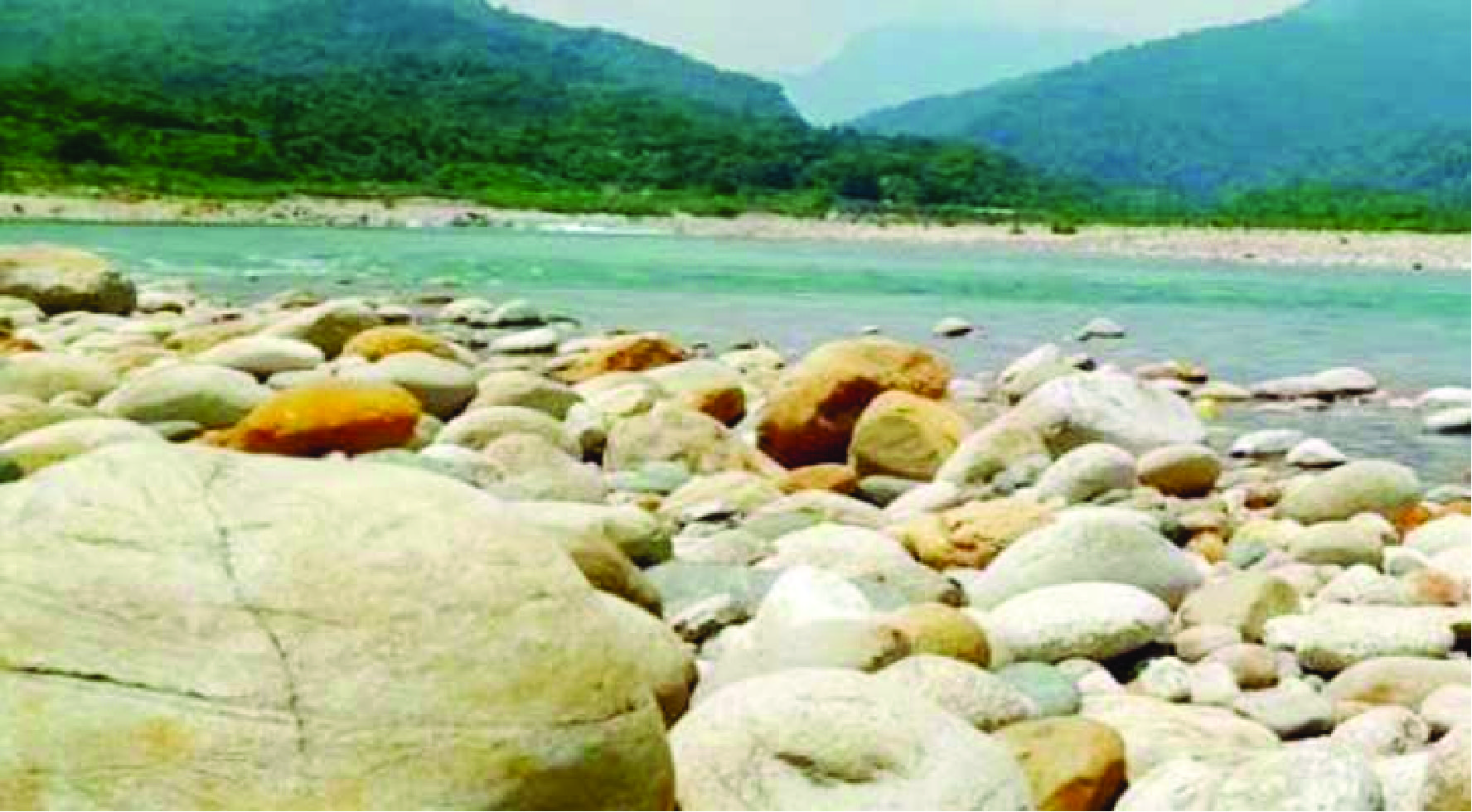 নয়নকাড়া পর্যটকদের আনাগোনা